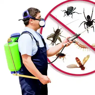 pest control South Nyack